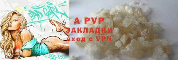 гашик Тында