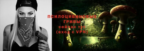 прущая мука Туринск