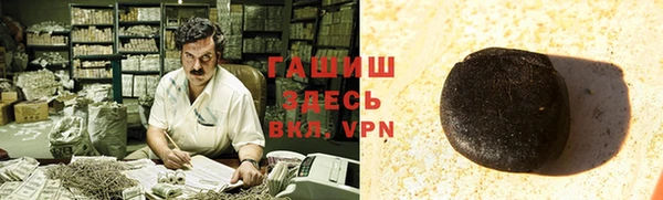 гашик Тында