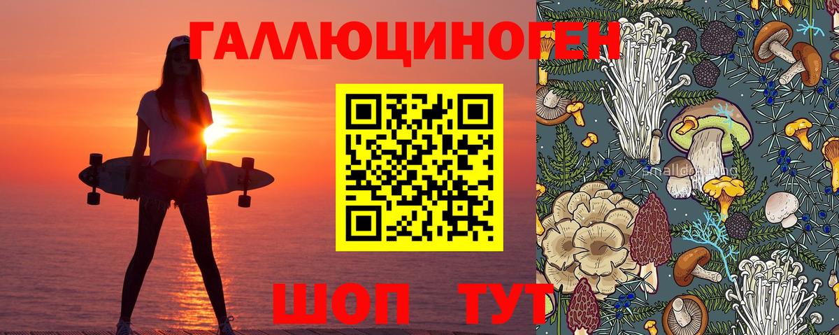 Галлюциногенные грибы прущие грибы  Краснодар  Галлюциногенные грибы GOLDEN TEACHER 