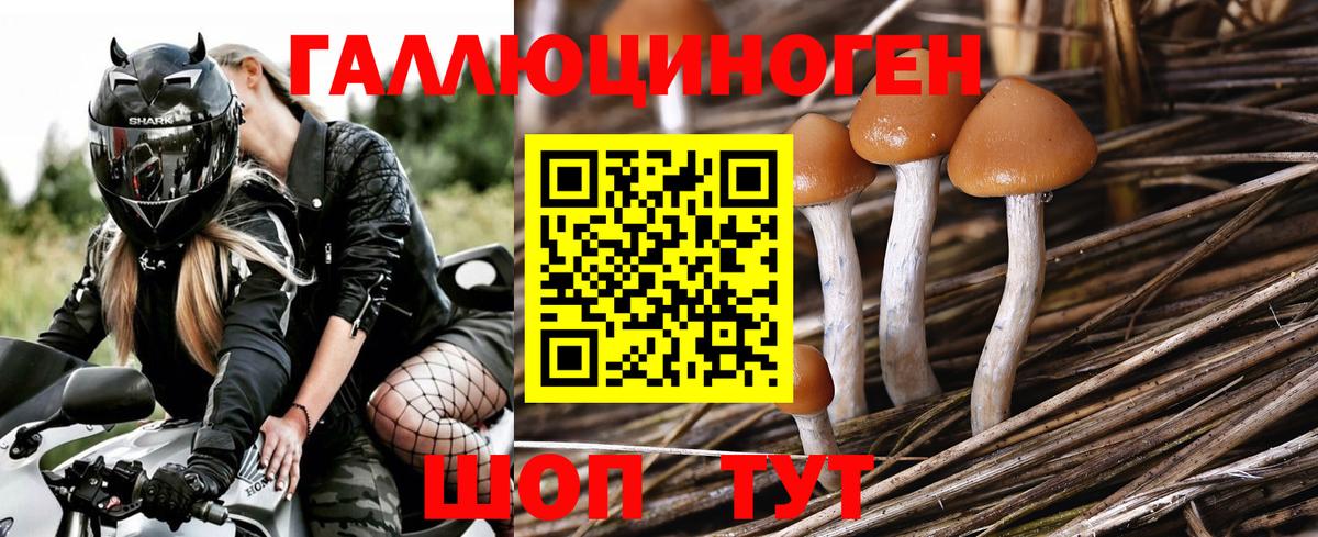 Краснодар  Галлюциногенные грибы Magic Shrooms  Вход с VPN 