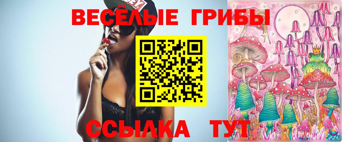 Псилоцибиновые грибы Magic Shrooms Краснодар