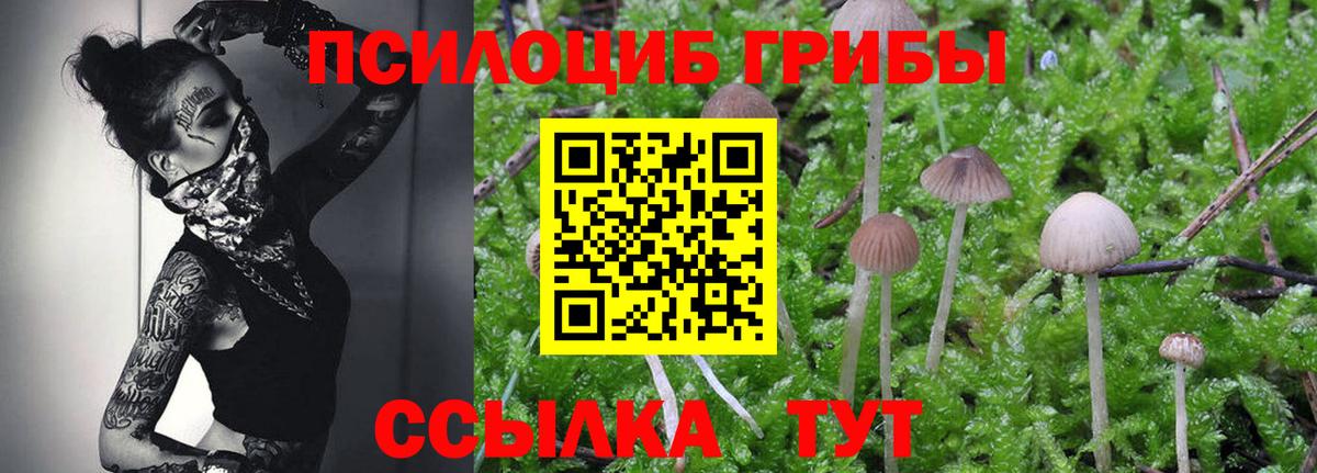 COCAIN  LSD-25  Краснодар  А ПВП СК кристаллы  Гашиш  Меф   MDMA  Вход с VPN  Мефедрон  КЕТАМИН  Бошки Шишки 
